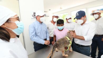 Photo of Anuncia el Gobernador Vila creación de la Unidad Especializada en el Combate al Maltrato de los Animales Domésticos