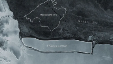 Photo of El iceberg más grande del mundo se separó de la Antártida