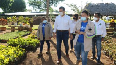 Photo of El alcalde de Mérida, Alejandro Ruz reconoce la labor de las mujeres del vivero municipal