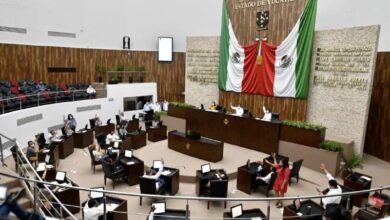 Photo of Yucatán aprueba cárcel y multas contra el maltrato animal