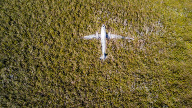 Photo of La selva impide llegar al avión Douglas DC-3