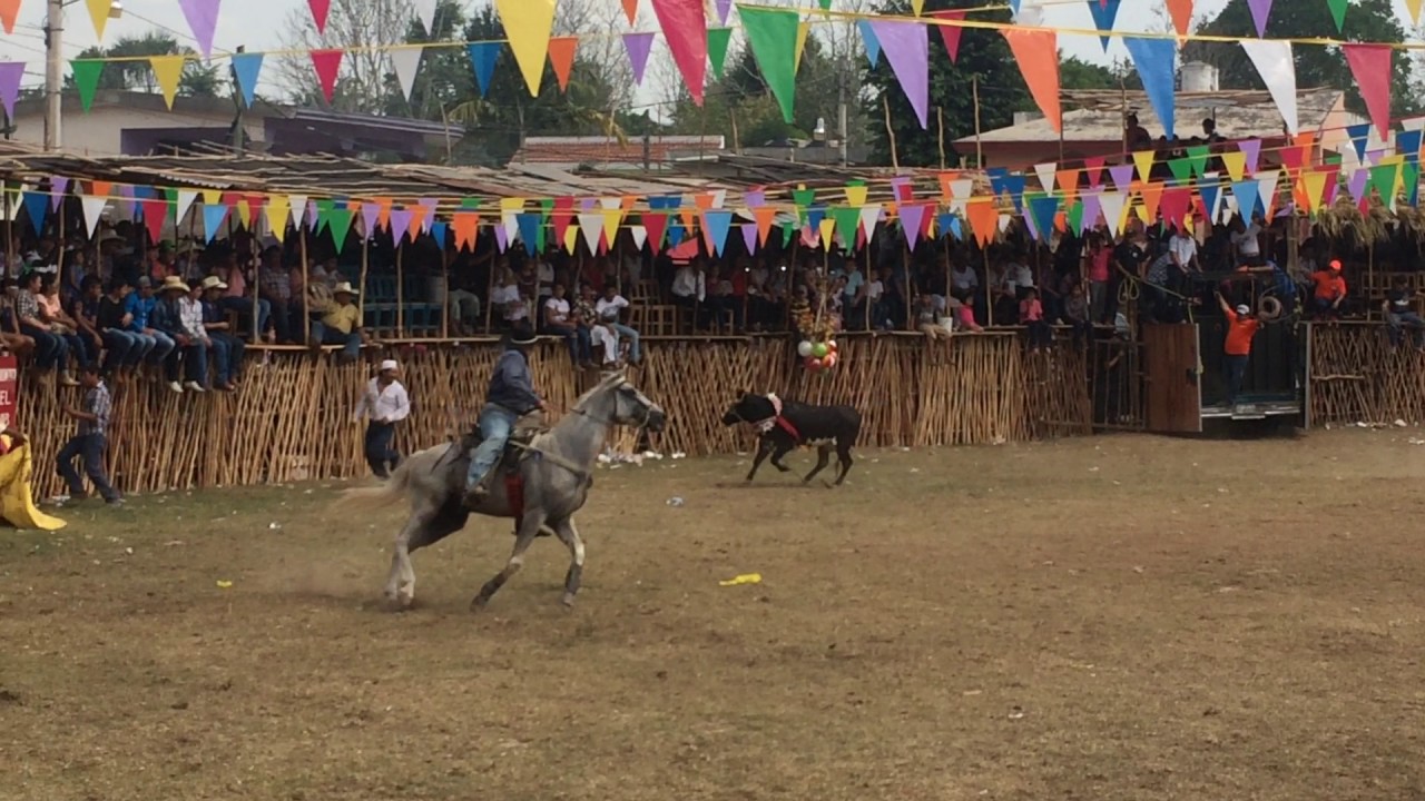 Buscan Que Corrida De Toros Y Calesas Sean Patrimonio Cultural De