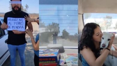 Photo of “Perdió” a perrita por no ser de raza y, en venganza, lo abandonan en la carretera