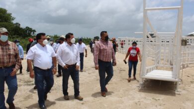 Photo of Ganaderos de Tizimín estrenan instalaciones para manejo de bovinos