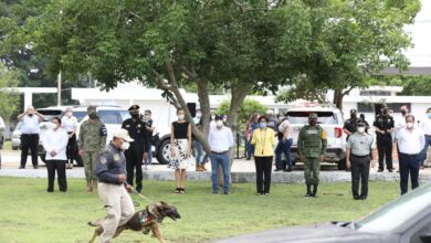 Photo of Fortalecen la Unidad K-9 de la SSP con nuevos elementos caninos, vehículos y capacitación