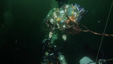 Photo of Fortalece Yucatán su estrategia para el saneamiento de grutas y cenotes