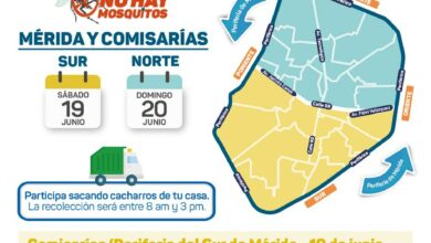 Photo of Inicia campaña de descacharrización en Mérida