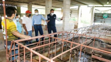 Photo of Con el programa “Manos al Campo”, el Ayuntamiento apoya a productores rurales