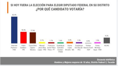 Photo of Rommel Pacheco, favorito para el tercer Distrito Federal: Encuesta