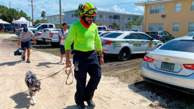 Photo of Oreo, la perrita mexicana que busca sobrevivientes en Miami