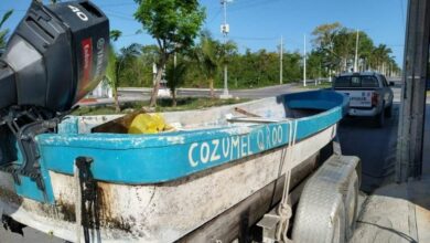 Photo of Pescadores son procesados por robar huevos de tortugas en Cozumel