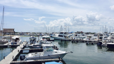 Photo of Barcos pesqueros foráneos atracados en el puerto de abrigo de Yucalpetén serán desalojados