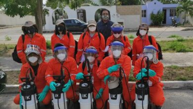 Photo of Avanza innovador proyecto contra el mosquito Aedes aegypti  