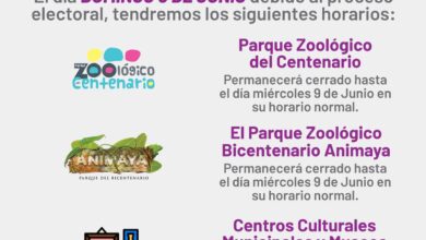 Photo of Zoológicos de Mérida, cerrados por elecciones