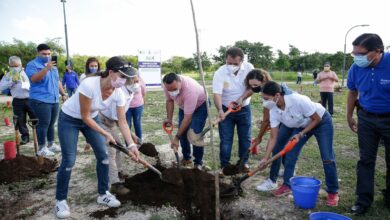 Photo of Realizan en Mérida la arborización “Duelo Verde Rotario”
