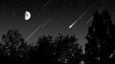 Photo of La lluvia de estrellas Delta Acuáridas iluminará el cielo en Mexico