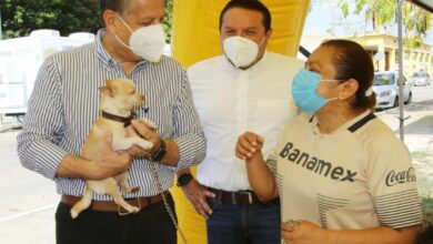 Photo of Cuidado y bienestar animal, responsabilidad entre Ayuntamiento y ciudadanos en Mérida