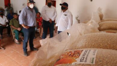 Photo of Distribuyen unas 120 toneladas de semilla de maíz para familias yucatecas