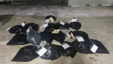 Photo of Violan la veda de pulpo y los detiene la Guardia Nacional con 318 kilos de producto