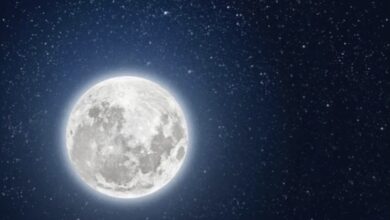 Photo of Mañana la Luna llena de ciervo, uno de los increíbles fenómenos astronómicos de julio