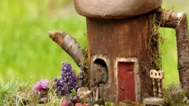 Photo of Fotógrafo descubre a familia de ratones en su jardín y les construye casitas de hobbits