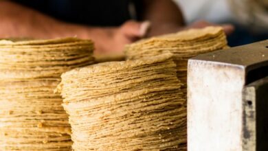 Photo of Este es el precio de la tortilla en tu estado de acuerdo a Profeco