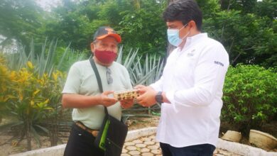 Photo of Entregan cerca de ocho mil 500 abejas reina para impulsar la apicultura en Yucatán