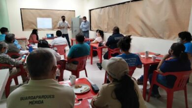 Photo of Ayuntamiento promueve el cuidado y resguardo de fauna silvestre