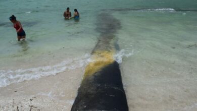 Photo of En Chicxulub y Telchac Puerto, los vecinos se quejan por la colocación de geotubos en la playa
