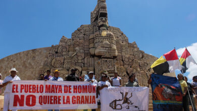 Photo of Pueblos mayas organizan sus propias consultas sobre las granjas de cerdos