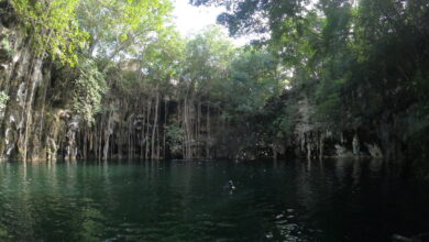 Photo of Inauguran humedal artificial en cenote de Yokdzonot