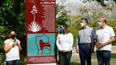 Photo of El alcalde Alejandro Ruz visita el Agavario de Xoclán, en el Jardín Bepensa