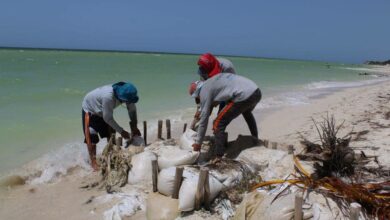 Photo of Retirarán más de 270 espolones ilegales que erosionan las playas yucatecas