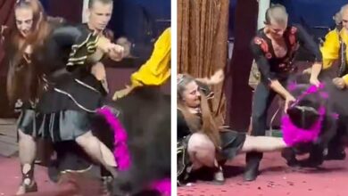 Photo of Oso ataca a su entrenadora durante un show infantil en Rusia