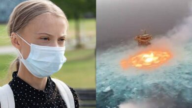 Photo of Greta Thunberg y ambientalistas arremeten contra Pemex
