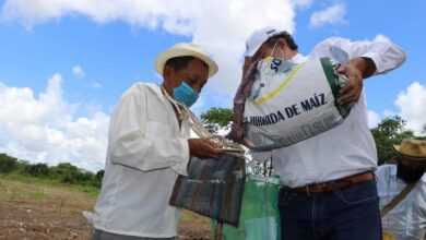 Photo of Aumenta la pobreza en México por la pandemia; Yucatán lo combate con programas y acciones sociales