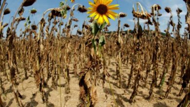 Photo of El mundo está en ‘código rojo’, advierte ONU sobre el cambio climático