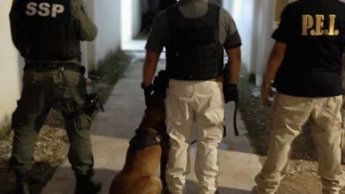 Photo of Droga asegurada y tres detenidos en San José Tecoh y Piedra de Agua