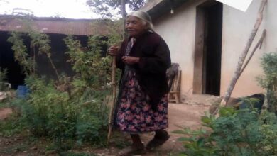 Photo of Angelina, abuelita indígena mazateca, fue asesinada en un presunto asalto