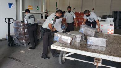 Photo of Guardia Nacional asegura 33 cajas con pulpo en el Aeropuerto de Mérida