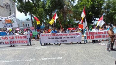 Photo of Protestan en Mérida contra mega granja porcícola en Homún
