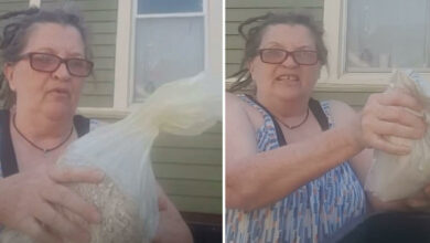 Photo of Mujer tira las cenizas de su marido a la basura