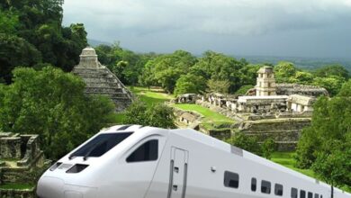 Photo of Tren Maya contará con 107 pasos ganaderos a lo largo de la ruta