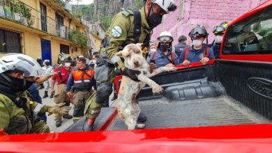 Photo of Rescatan a otro perrito tras el derrumbe del Chiquihuite