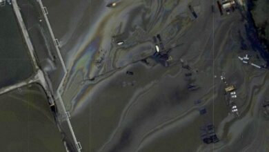 Photo of Identifican fuente de derrame petrolero en Golfo de México tras paso de ‘Ida’