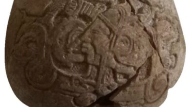 Photo of Descubren milenaria vasija con escritura jeroglífica en obras del Tren Maya, en Yucatán