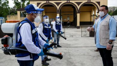 Photo of Ayuntamiento de Mérida refuerza la fumigación y abatización