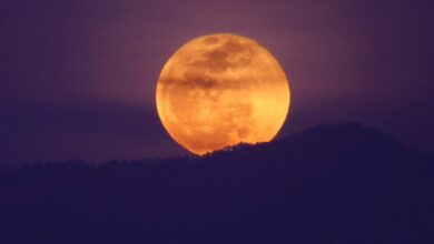 Photo of Este lunes la ‘Luna de Maíz’ iluminará el cielo