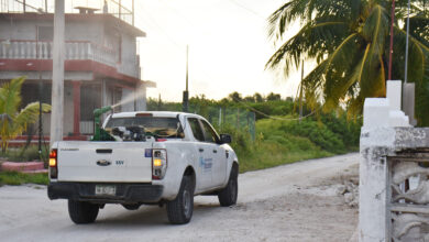 Photo of Realizará SSY estrategia de fumigación en Yucatán