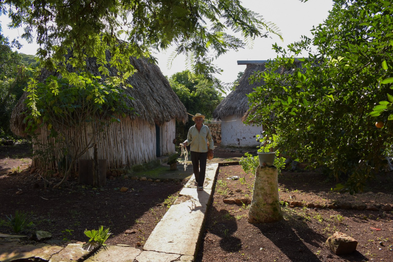 Casas mayas, arquitectura tradicional que armoniza espacio y naturaleza